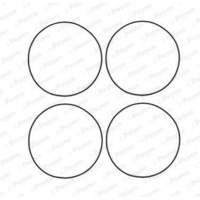 PAYEN Pakkingsset, cilindervoering HR566
