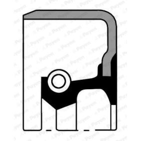 PAYEN Shaft Seal, differential NJ002