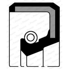 PAYEN Shaft Seal, manual transmission Inlet, 30mm NJ399