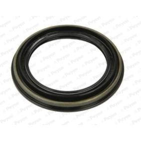 Купить PAYEN Уплотняющее кольцо, ступица колеса NK212