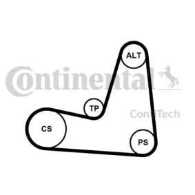 CONTITECH Kit Cinghie Poly-V 5PK1135K1