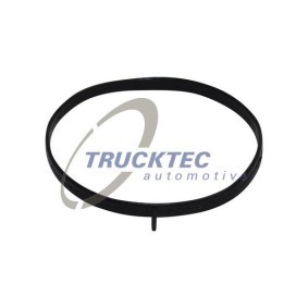 TRUCKTEC AUTOMOTIVE Pakninger, innsug 02.16.058