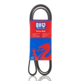 QUINTON HAZELL Keilrippenriemen 1700mm, 6 QBR61700