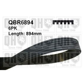 QUINTON HAZELL Multiriem QBR6894