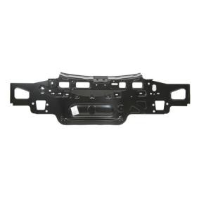 BLIC Panel trasero 6503-05-5024650P