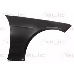 BLIC Kotflügel vorne rechts, Aluminium 6504-04-3529312P