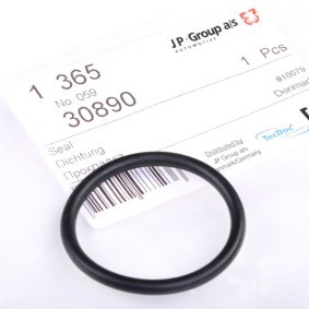 JP GROUP Joint, Bride de liquide de refroidissement 1119606300