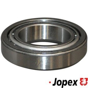 JP GROUP Wheel bearing 8141201000