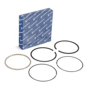 KOLBENSCHMIDT Jeu de segments de pistons 800009410000