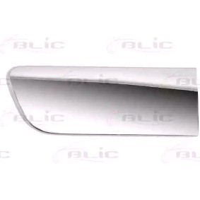 BLIC Bumperlijst 6502-07-5501912P