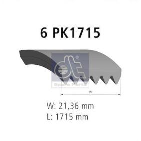 DT Spare Parts Keilrippenriemen 11.12081