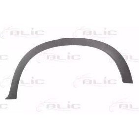 BLIC Aletin 5703-04-0096595P