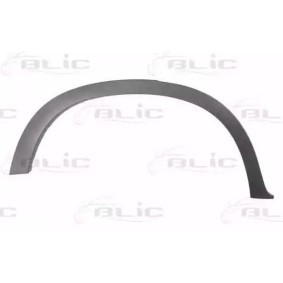 BLIC Aletin 5703-04-0096596P