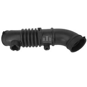 TEDGUM Ansaugschlauch, Luftfilter 00392516