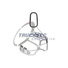 TRUCKTEC AUTOMOTIVE Zier- / Schutzleiste, Seitenscheibe 01.50.003