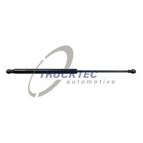 TRUCKTEC AUTOMOTIVE Vérin de coffre 02.66.010