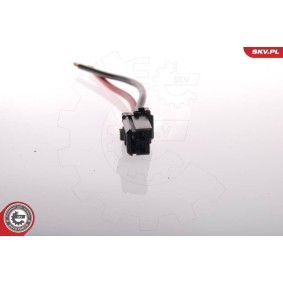 ESEN SKV Bensinpumpe 02SKV205