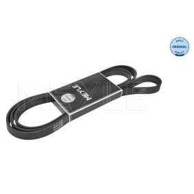 MEYLE Multiriem 050 006 2498