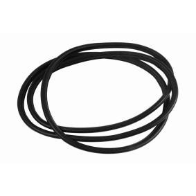 VAICO Seal, door window V20-1202