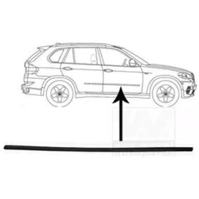 Купить VAN WEZEL Облицовка / защитная накладка, дверь 0689424
