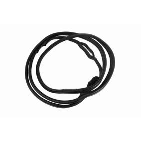 VAICO Seal, door window V30-1547