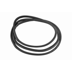 VAICO Seal, door window V20-1201