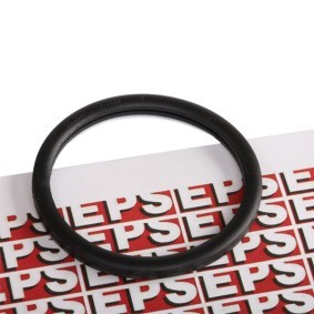 EPS Junta, termostato 1.890.568
