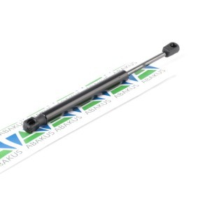 ABAKUS Vérin de coffre 101-00-153