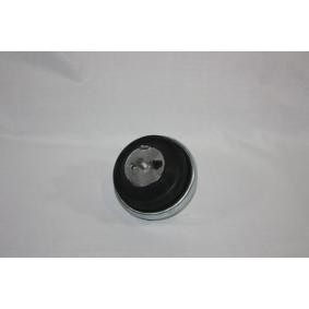 AUTOMEGA Soporte de motor 130111910