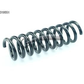 CS Germany Chassisveer Achteras, Schroefveer 14.319.551