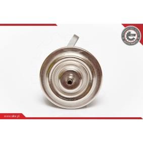 ESEN SKV Vanne EGR 14SKV068