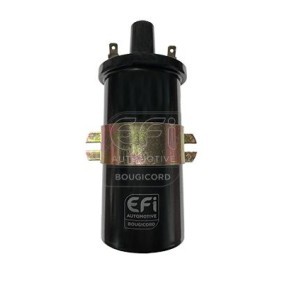 EFI AUTOMOTIVE Ignition coil 155266