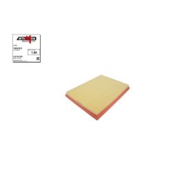 Pirkti AUTOMEGA Oro filtras 180022910