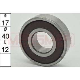 ERA Bearing 218025