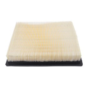 MASTER-SPORT Filtre à air 24100-LF-PCS-MS