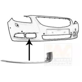 VAN WEZEL Cover, bumper 3850582