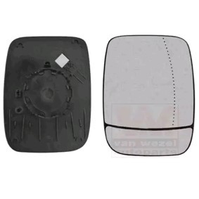 VAN WEZEL Mirror Glass, outside mirror 3891832