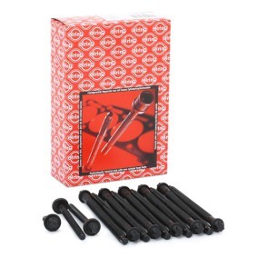 ELRING Bolt Kit, cylinder head 426.830