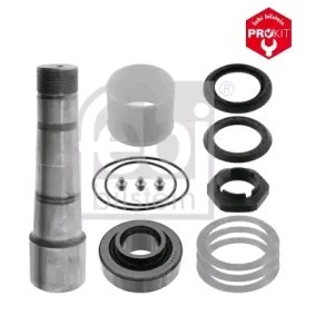 FEBI BILSTEIN Reparatursatz, Achsschenkelbolzen 47153