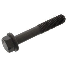 Spletna trgovina z FEBI BILSTEIN Ojnicni vijak 48744