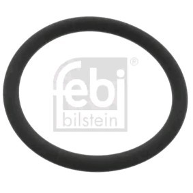 FEBI BILSTEIN Dichtung, Wasserpumpe FPM (Fluor-Kautschuk) 48765