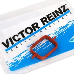 REINZ Insugspackning 71-33109-10