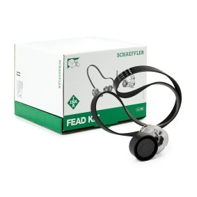 INA Kit Cinghie Poly-V Controllare corsa libera generatore ed ev. sostituire, 1195mm 529 0117 10