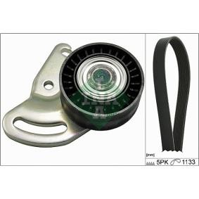 INA Kit Cinghie Poly-V Controllare corsa libera generatore ed ev. sostituire, 1133mm 529 0178 10
