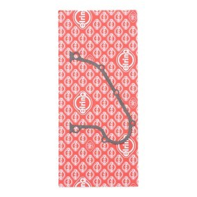 ELRING Timing cover gasket 773.183