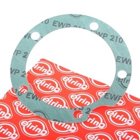 ELRING Dichtung, Wasserpumpe 774.198