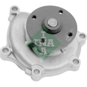 INA Bomba de agua 538 0693 10