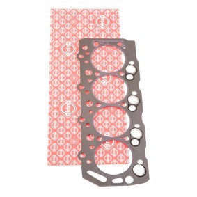 Spletna trgovina z ELRING Tesnilo, glava valja (motorja) 920.460