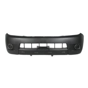 BLIC Bumper 5510-00-8172910P