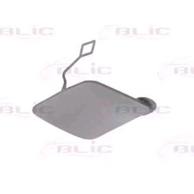 Spletna trgovina z BLIC Pokrov, vlecna kljuka 5513-00-0063921Q